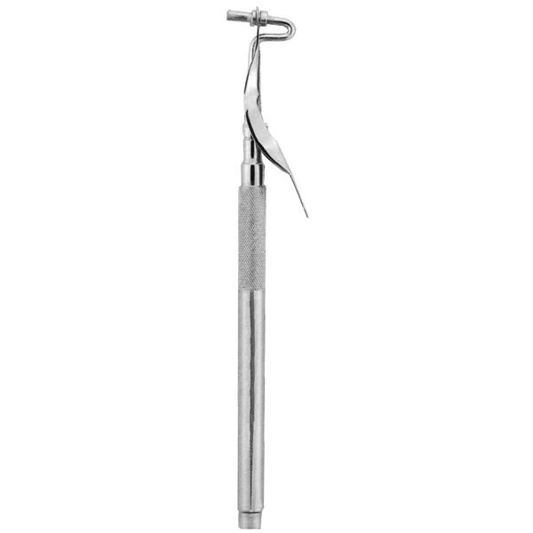 Amalgam Carrier