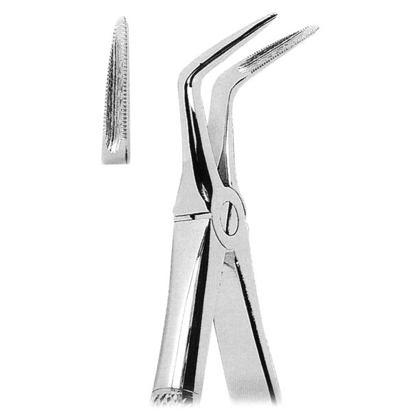 Extracting Forcep Fig. 145