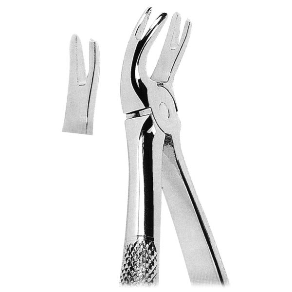 Extracting Forcep Fig. 166