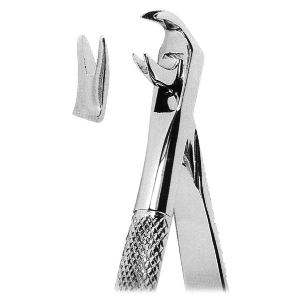 Extracting Forcep Fig. 167 Trotter