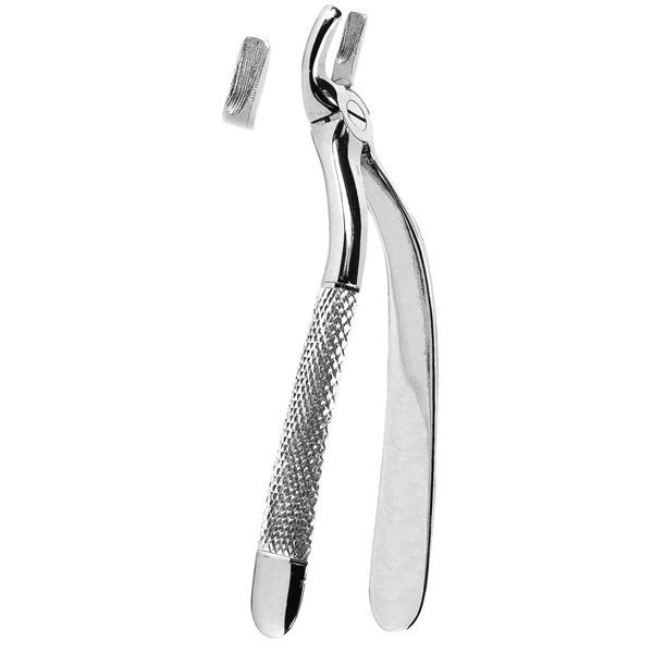 Extracting Forcep Fig. 19