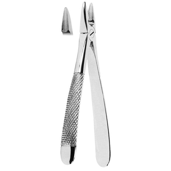 Extracting Forcep Fig. 1