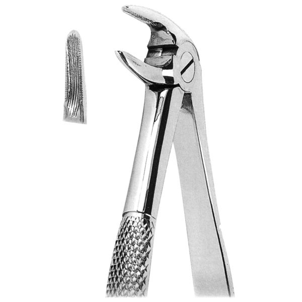 Extracting Forcep Fig. 33L