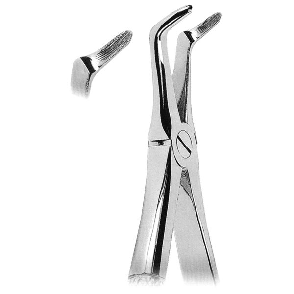 Extracting Forcep Fig. 346