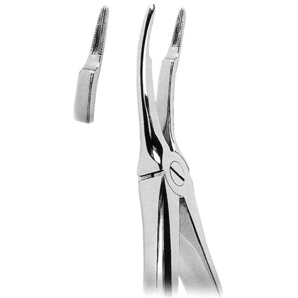 Extracting Forcep Fig. 349