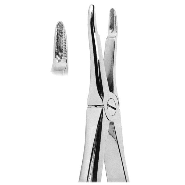 Extracting Forcep Fig. 41
