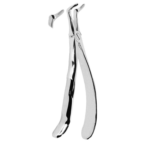Extracting Forcep Fig. 45
