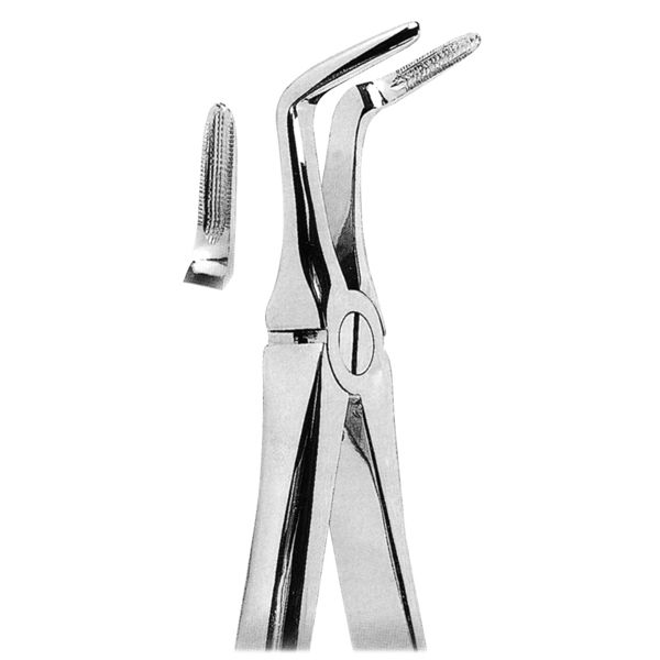 Extracting Forcep Fig. 46L