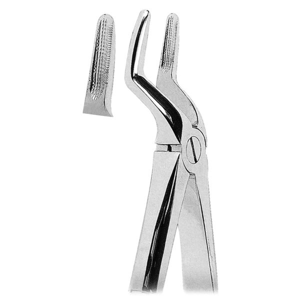 Extracting Forcep Fig. 51