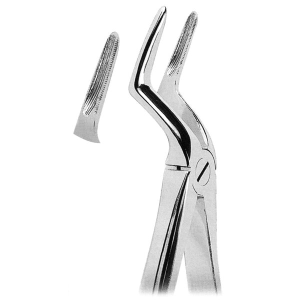 Extracting Forcep Fig. 51L