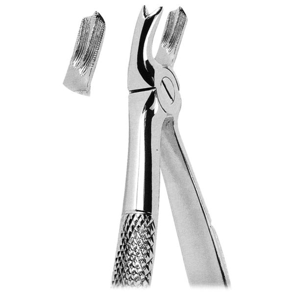 Extracting Forcep Fig. 65L