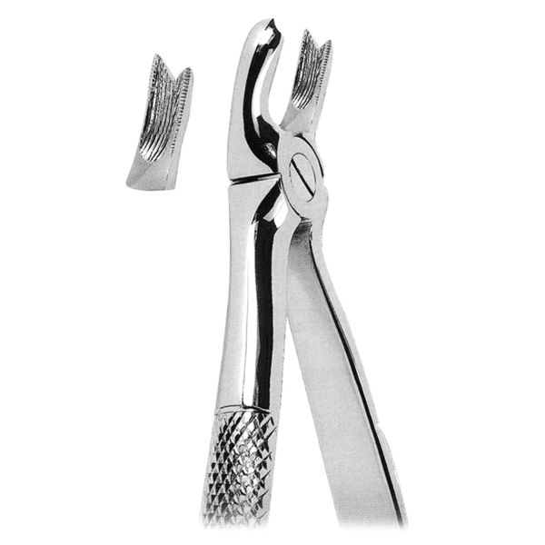 Extracting Forcep Fig. 65R