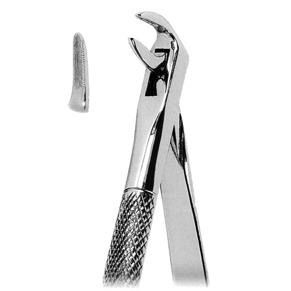 Extracting Forcep Fig. 7AM