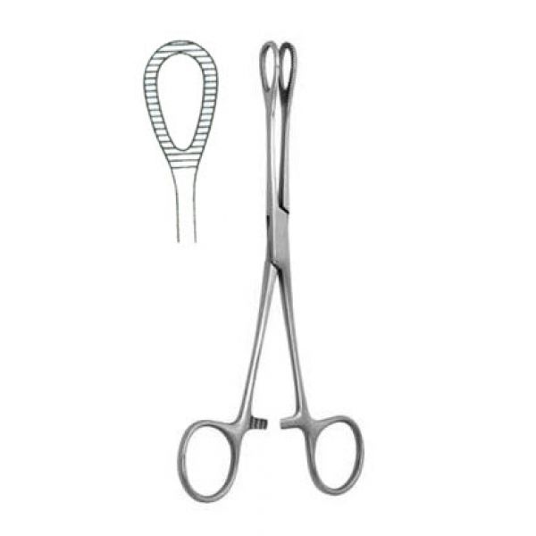 Foerster Sponge Clamp