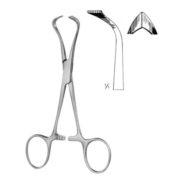 Lorna (Edna) Towel Clamp