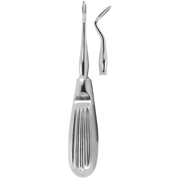 Root Elivator