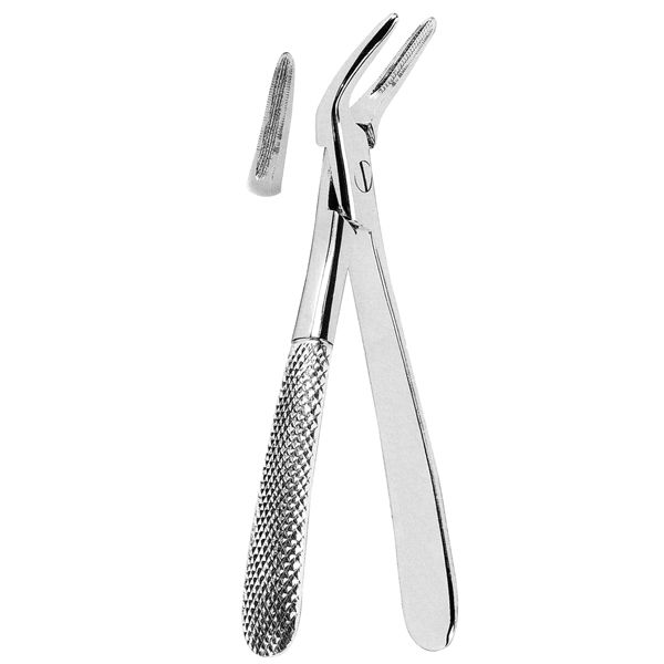 Root Splinter Forcep