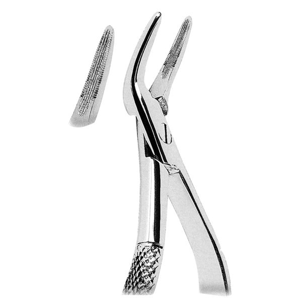 Root Splinter Forcep