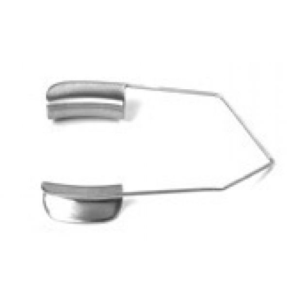 Speculum